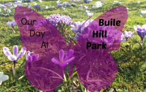 Buile Park Title