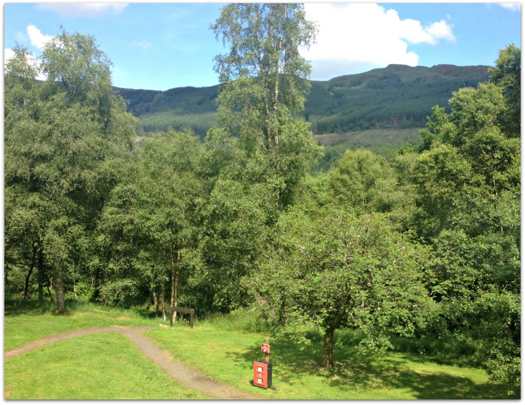 View from our Forest Holidays cabin in Strathyre