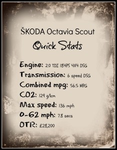 Scout quick stats