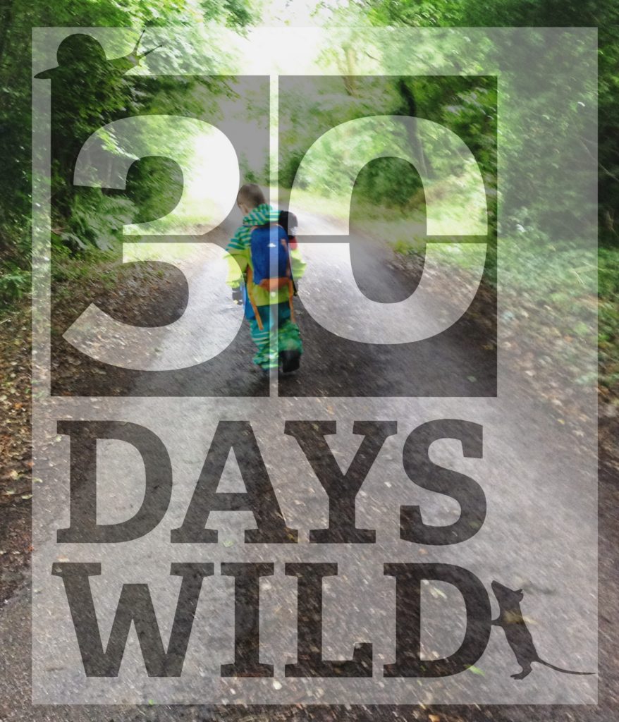 30 days wild title image