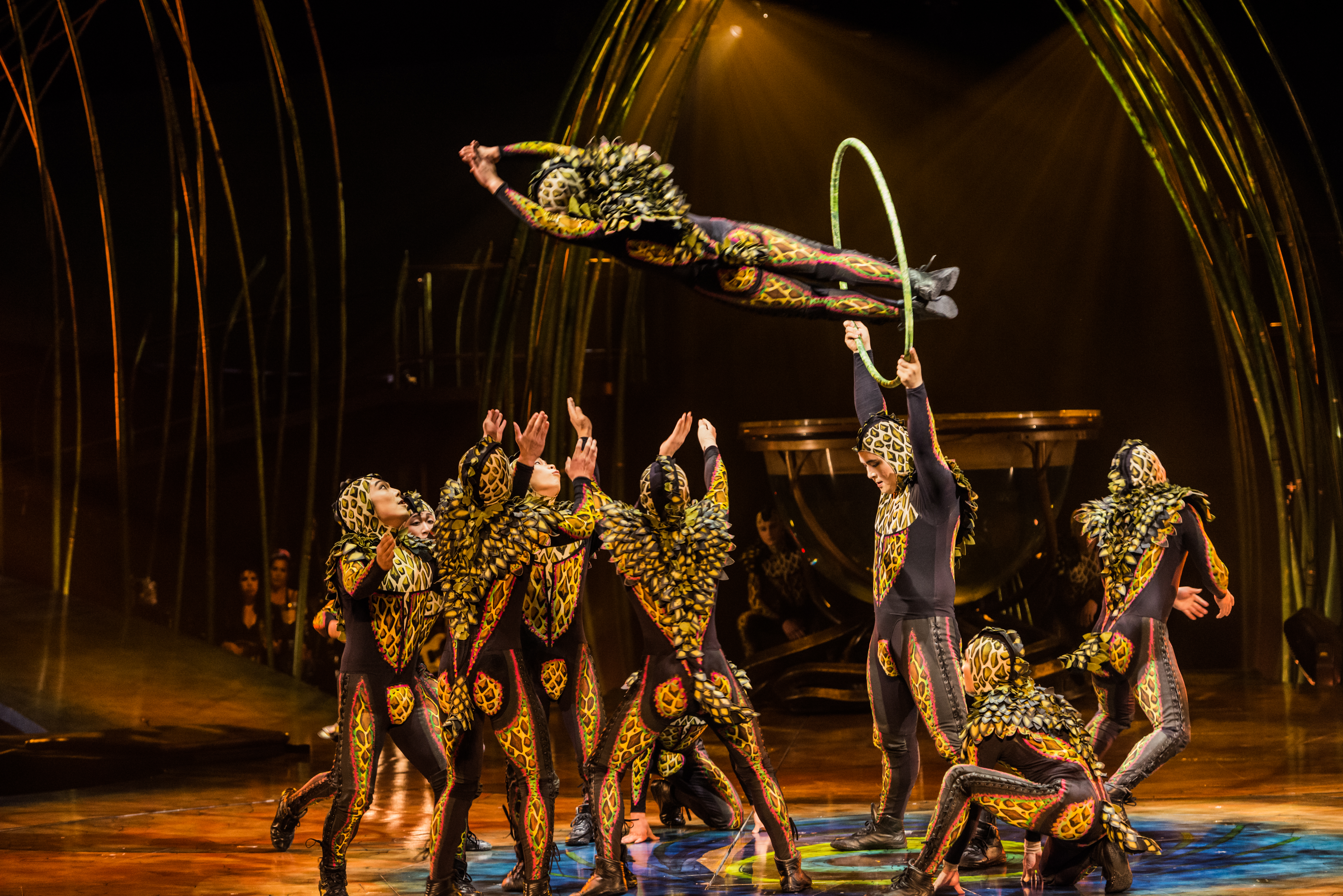 Cirque du Soleil: Amaluna